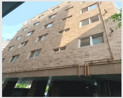  2025Ÿ9981  α  289-3 ׸ĳ 101 2 201ȣ   ټ,