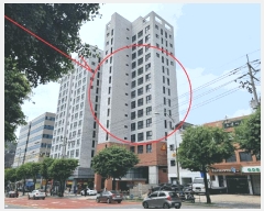  2025Ÿ��10613  ���ǽ��ڰ��