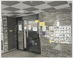  2025Ÿ��11303  �ټ���(����)���