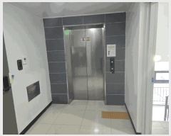  2025Ÿ��11386  ���ǽ��ڰ��