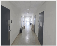  2025Ÿ��11434  ���ǽ��ڰ��