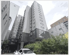  2025Ÿ��12009  ���ǽ��ڰ��