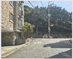  2025Ÿ��12302 ���� ������ ȭ� 56-105 �ֿ����  ��1�� ��101ȣ   �ټ���,������