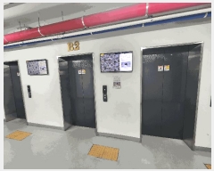  2025Ÿ��400  ����Ʈ��������