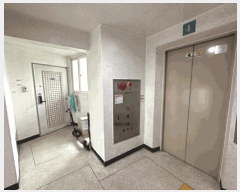  2025Ÿ��444  ����Ʈ���