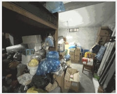  2025Ÿ��481  ���ð��