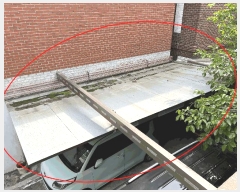  2025Ÿ��481  ���ð��