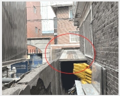  2025Ÿ��481  ���ð��