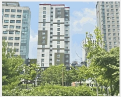  2025Ÿ��591 ���� ���α� ������ 55-19 �Ƶ����� ��15�� ��1505ȣ    ���ǽ��ڰ��