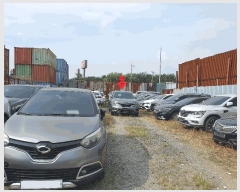  2025Ÿ��11314 ���� ������ ��ȭ�� 391-17 ����������      �������