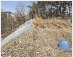  2025Ÿ��8982 ���� ������ ȭ� 42-31       ����(����)���