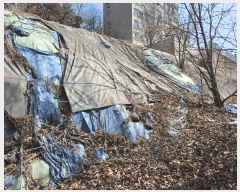  2025Ÿ��8982 ���� ������ ȭ� 42-31       ����(����)���