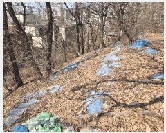  2025Ÿ��8982 ���� ������ ȭ� 42-31       ����(����)���