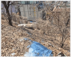  2025Ÿ��8982 ���� ������ ȭ� 42-31       ����(����)���