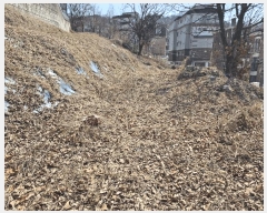  2025Ÿ��8982 ���� ������ ȭ� 42-31       ����(����)���