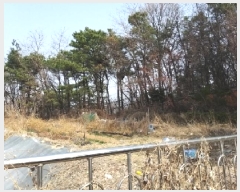  2025Ÿ��8982 ���� ������ ȭ� 42-31       ����(����)���