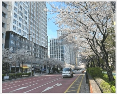  2025Ÿ��9402  ��������Ȱ���ð��