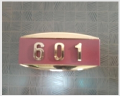  2025Ÿ��11502 ���� ������ ȭ� 46-31 ���  ��6�� ��601ȣ   �ټ���,������