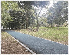  2025Ÿ��12352 ���� ��õ�� �ſ��� 987-1 �ſ��ÿ�����Ʈ ��10�� ��2�� ��202ȣ   ����Ʈ���