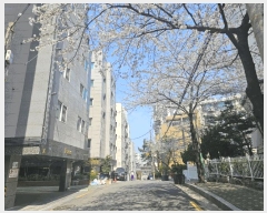  2025Ÿ��9406 ���� ��õ�� �ſ��� 513-9 ���������� ��2�� ��201ȣ    ��,�繫�ǰ��