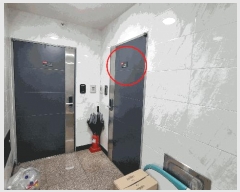  2025Ÿ��12202  �ټ���(����)���