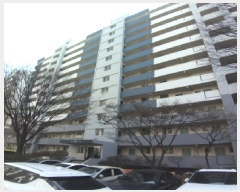  2025Ÿ8819  α ε 685-223 ְƮ 117 3 307ȣ   Ʈ