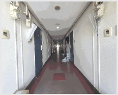  2025Ÿ��10174  ��������Ȱ���ð��