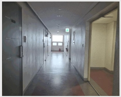  2025Ÿ��11060  ���ǽ��ڰ��