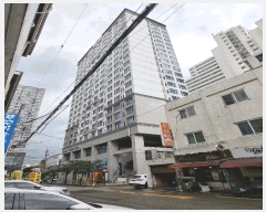  2025Ÿ��11335  ����Ʈ���