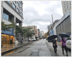  2025Ÿ��11335  ����Ʈ���