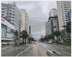  2025Ÿ��11335  ����Ʈ���