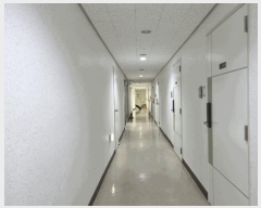  2025Ÿ��11335  ����Ʈ���