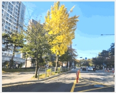  2025Ÿ��12715 ���� ��õ�� ���굿 776 ������������ ��8�� ��831ȣ    ���ǽ��ڰ��