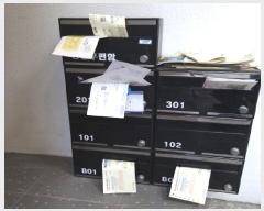  2025Ÿ��7974  ���ð��