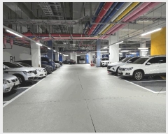  2025Ÿ��9491  ����Ʈ���