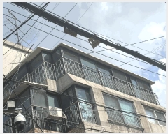  2025Ÿ��11392  �ټ���(����)���