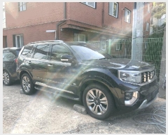  2025Ÿ��11982  �������