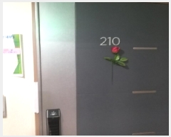  2025Ÿ��402  ���ǽ��ڰ��