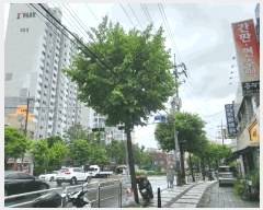  2025Ÿ��558  ����Ʈ���