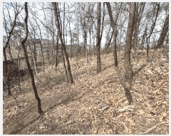  2025Ÿ��9001 ���� ������ ȭ� 42-21       ����(����)���