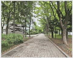  2025Ÿ��10216 ���� ��õ�� �� 904 �񵿽Žð�������Ʈ ��411�� ��2�� ��205ȣ   ����Ʈ���