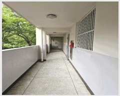  2025Ÿ��10216 ���� ��õ�� �� 904 �񵿽Žð�������Ʈ ��411�� ��2�� ��205ȣ   ����Ʈ���