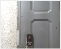  2025Ÿ��10248  �ټ���(����)���