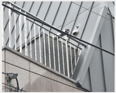  2025Ÿ��10433  �ټ���(����)���