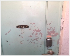  2025Ÿ��10770  �ټ���(����)���