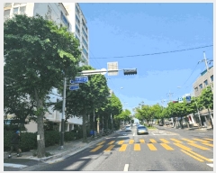  2025Ÿ520  õ ſ 151-6 Ʈ 8 803ȣ    Ʈ