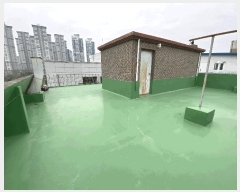  2025Ÿ��9908 ���� �������� �ű浿 1-13       �ܵ�����,�����ð��