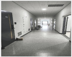  2025Ÿ��11175  ���ǽ��ڰ��