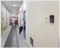  2025Ÿ��11889  ���ǽ��ڰ��