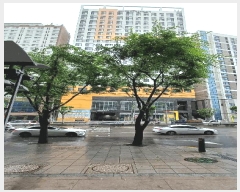  2025Ÿ535  α  31-280 οھ 14 1410ȣ    ǽڰ